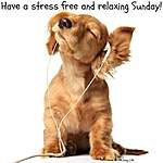 Click image for larger version

Name:	Cute-Relaxing-Sunday-Quotes.jpg
Views:	30
Size:	35.0 KB
ID:	4869