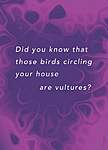 Click image for larger version

Name:	BB-HS-081-vultures.500.jpg
Views:	37
Size:	16.8 KB
ID:	4377