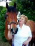 stablelady's Profile Picture
