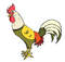 rooster's Avatar