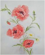 Poppies