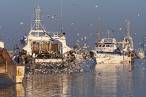 Sete fishing port