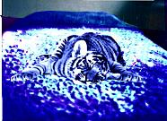 Blue Tiger Blue Bed