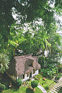 Palapa at the Villa. Chapter 5 'This Can't be Real!'