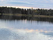 REFLECTION ON THE POND