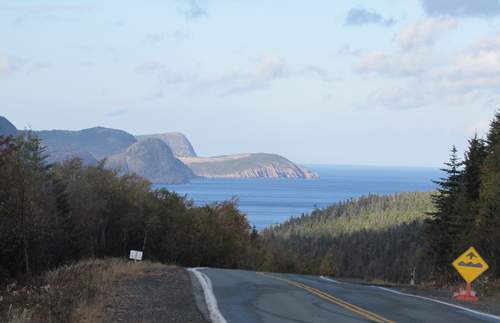 ROAD FROM CAPE SPEAR