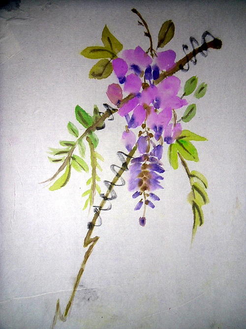 SAM 0462 Wisteria 29 8 2911

Chinese Brush Painting