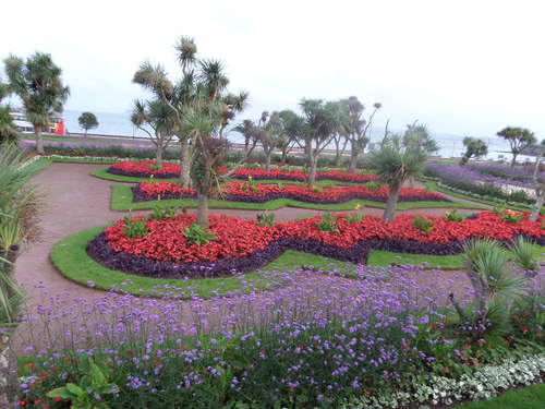 Toquay, Devon, Gardens.