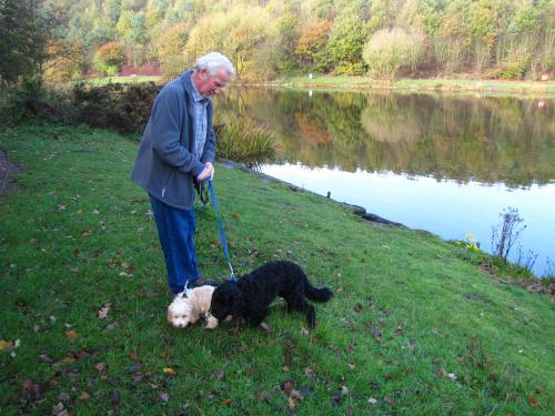 Alfies first walk