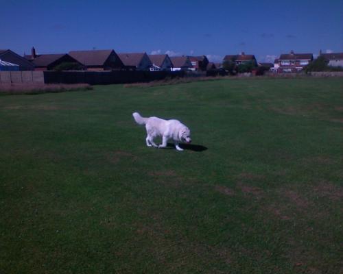 Ruud on the Green