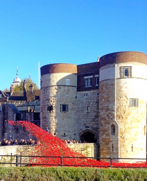 Remebrance poppies.