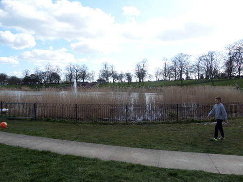 Pond with fountain in Maldon